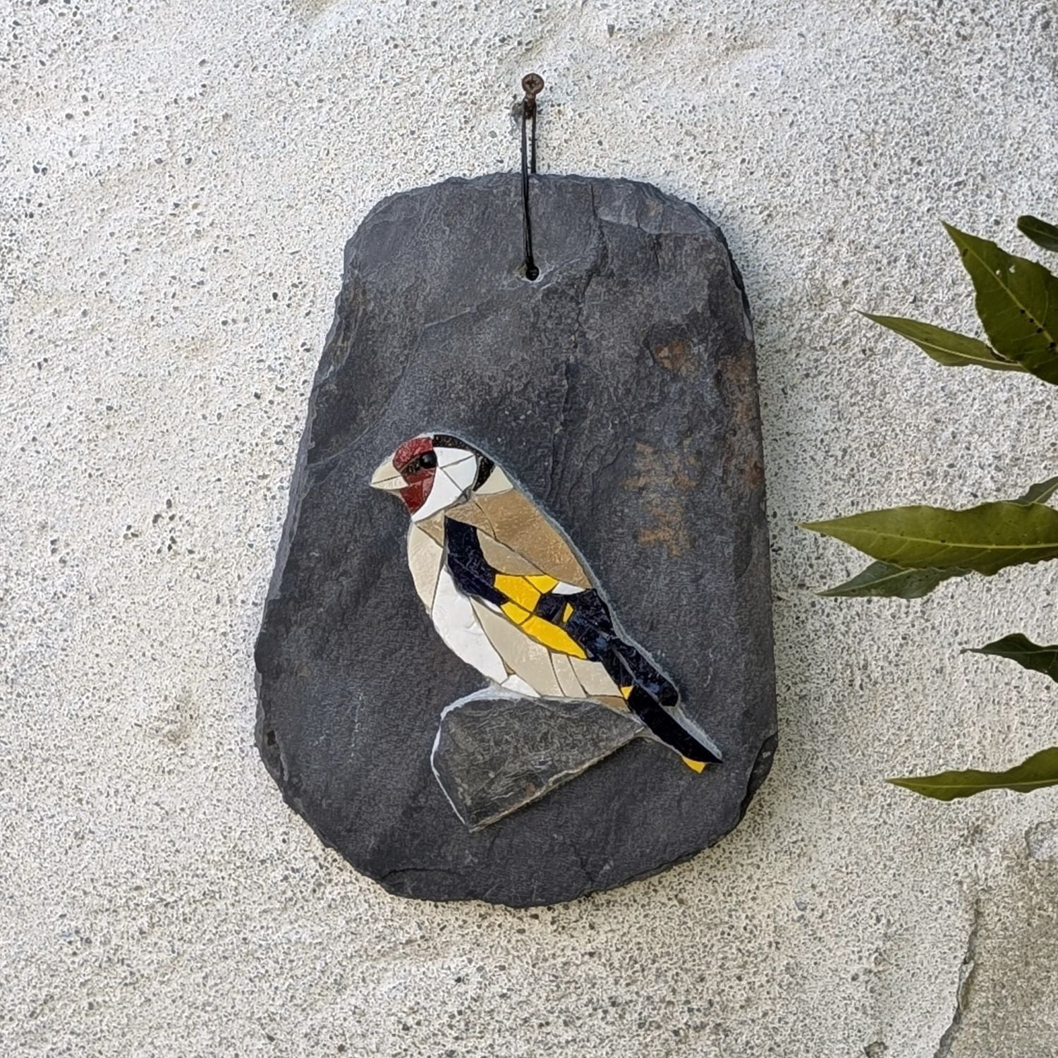 Volière d'ardoise, Chardonneret n° 1