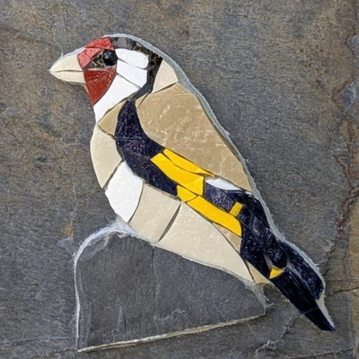 Volière d'ardoise, Chardonneret n° 3