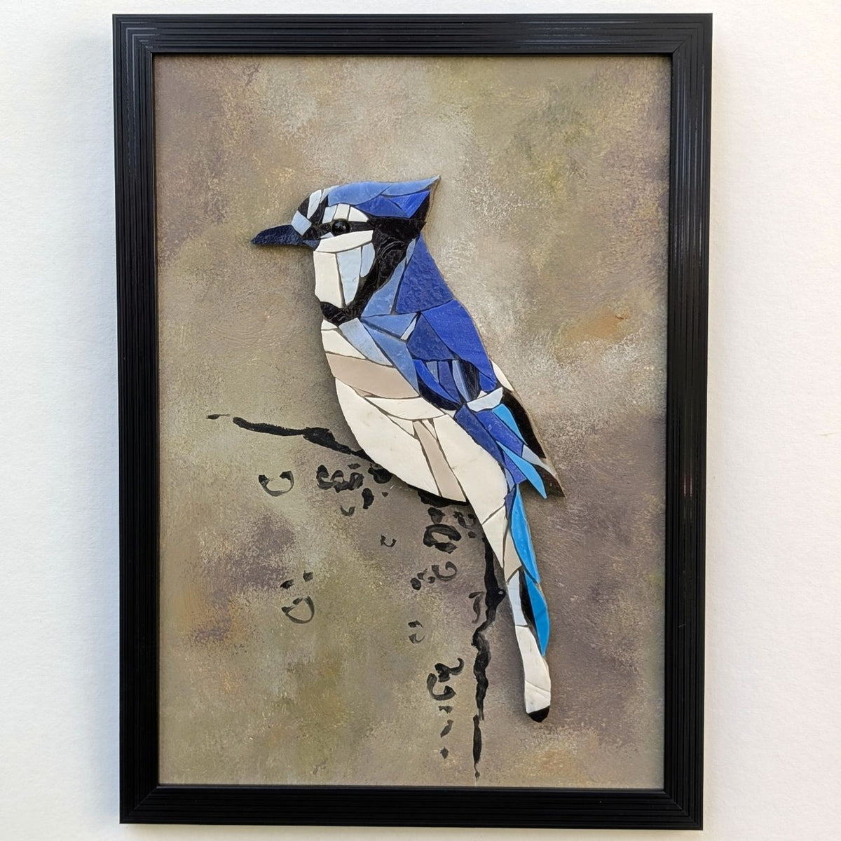 Zoziau, Geai bleu