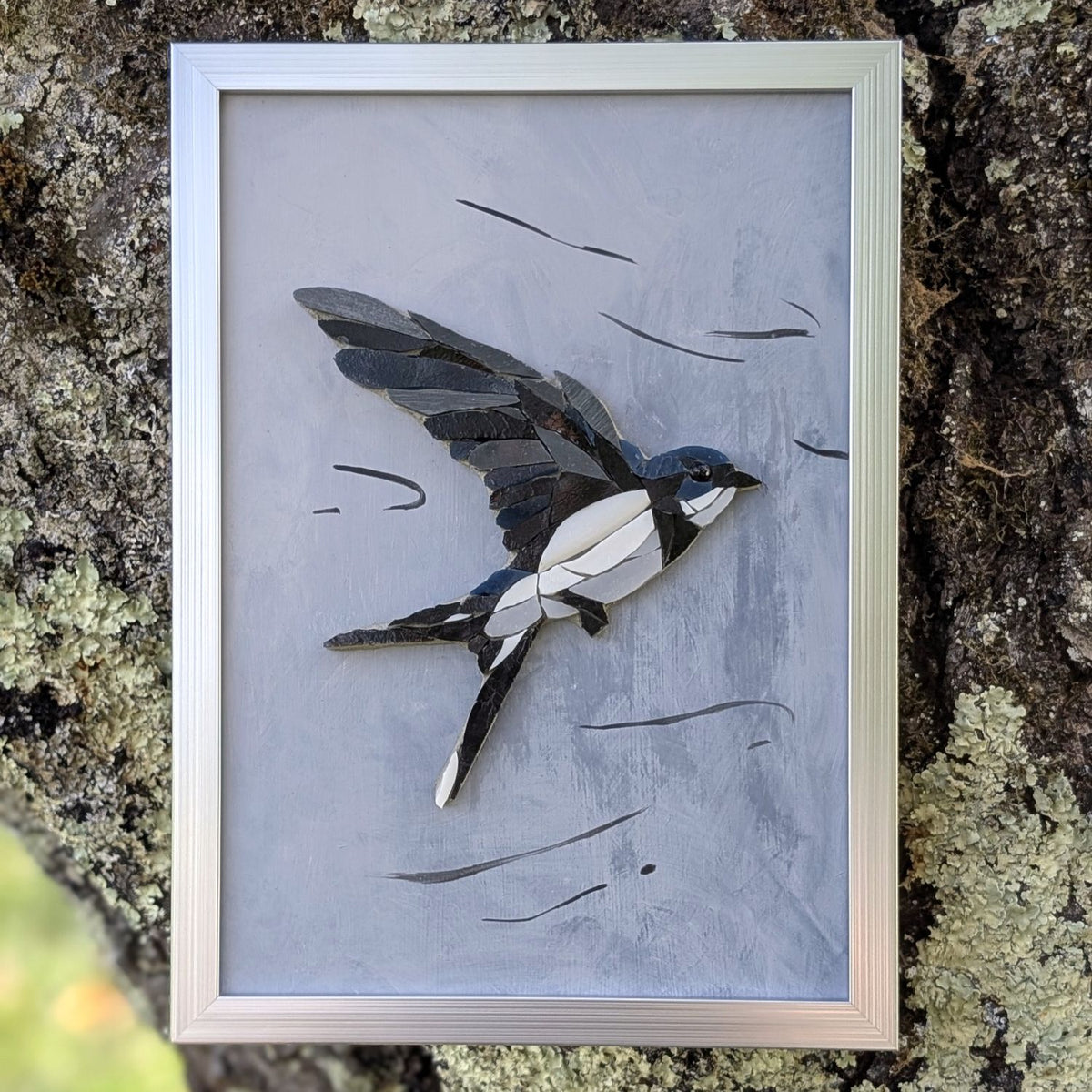 Zoziau, Hirondelle en vol.