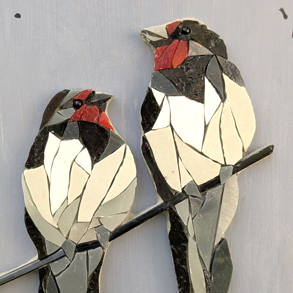Zoziau, Duo d'Hirondelles