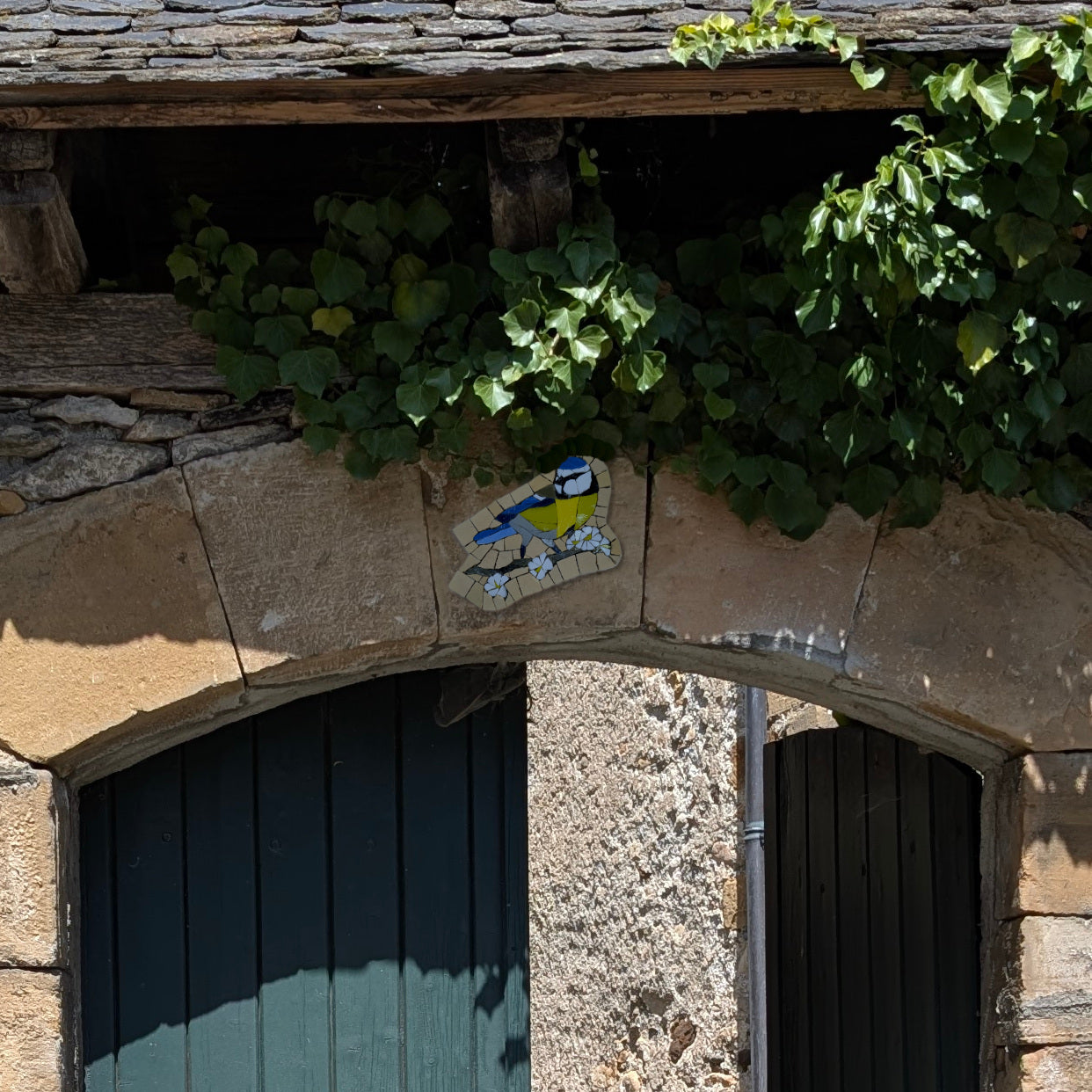 Chants du jardin, Mésange n° 1