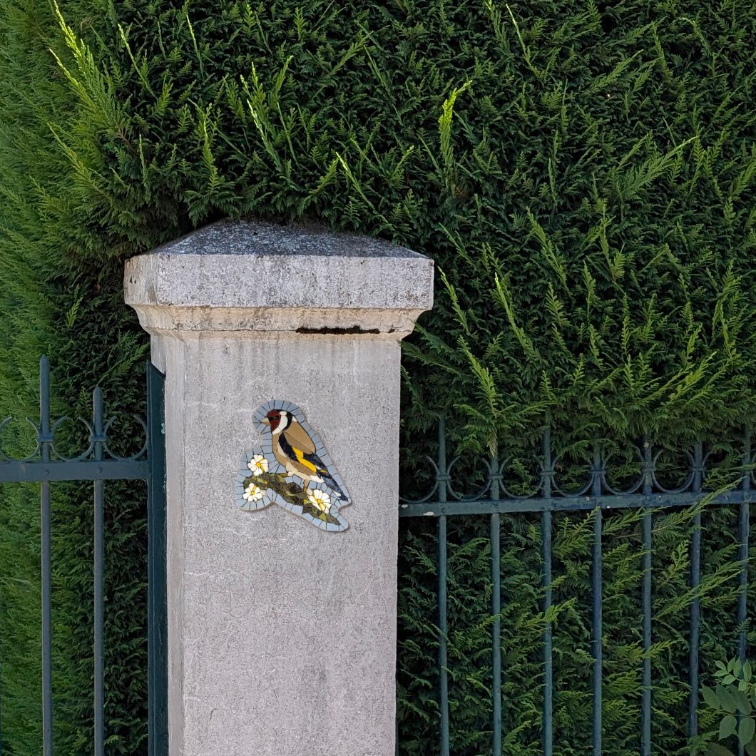 Chants du jardin, Chardonneret n° 2