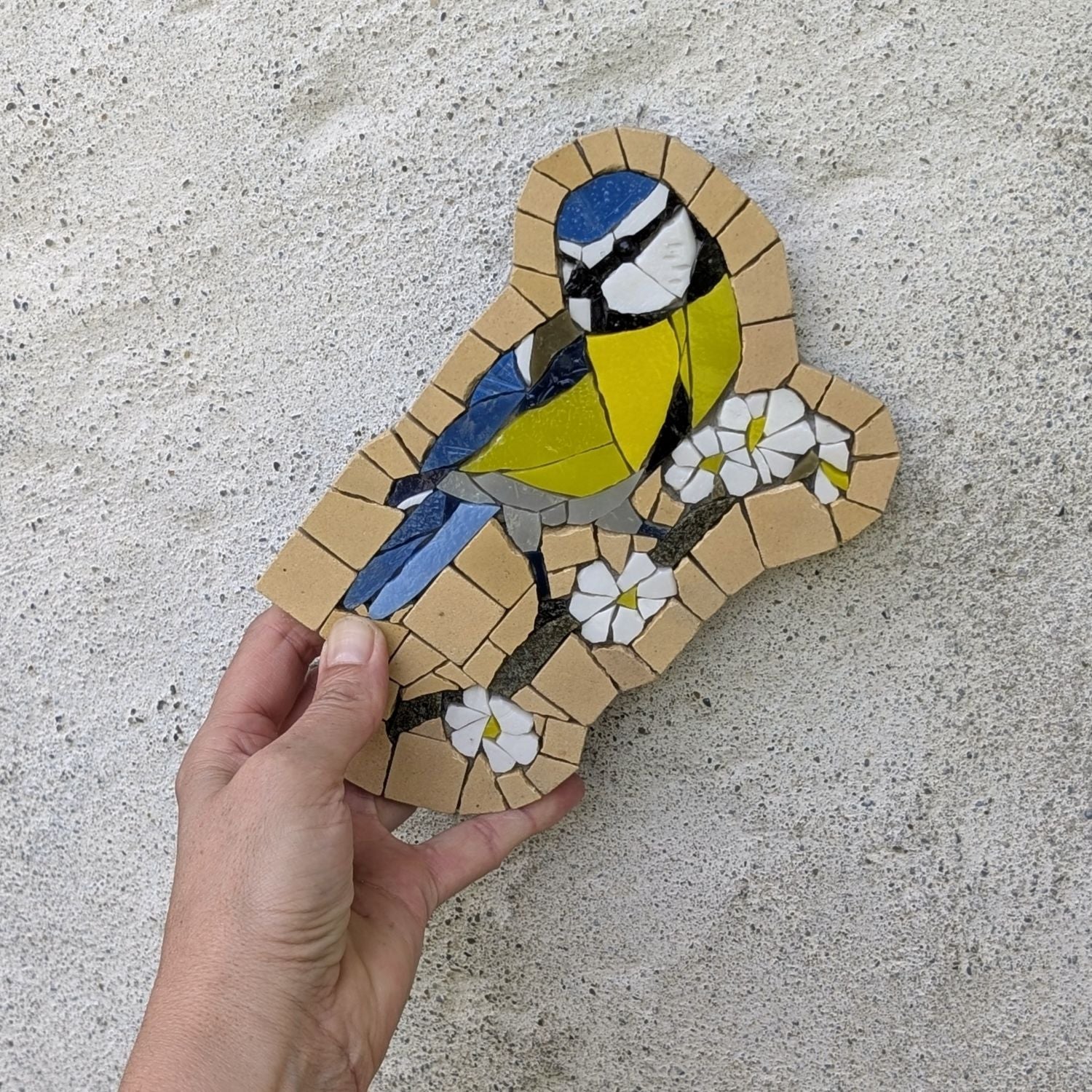 Chants du jardin, Mésange n° 1