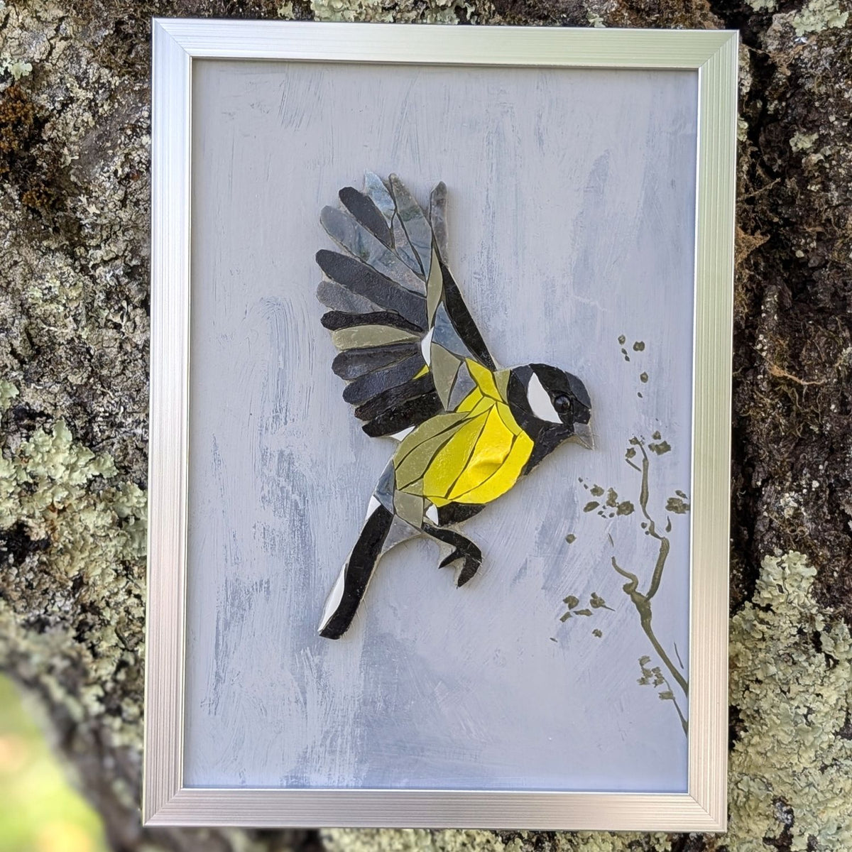 Zoziau, Mésange charbonnière en vol.