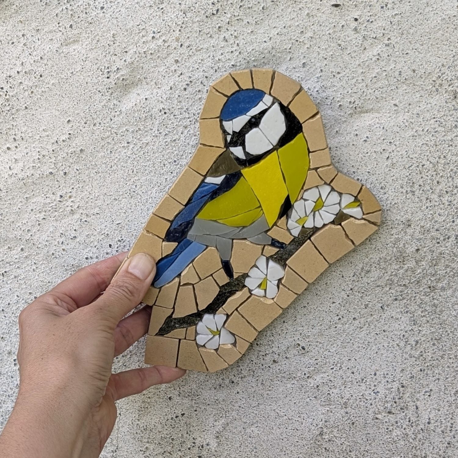 Chants du jardin, Mésange n° 2