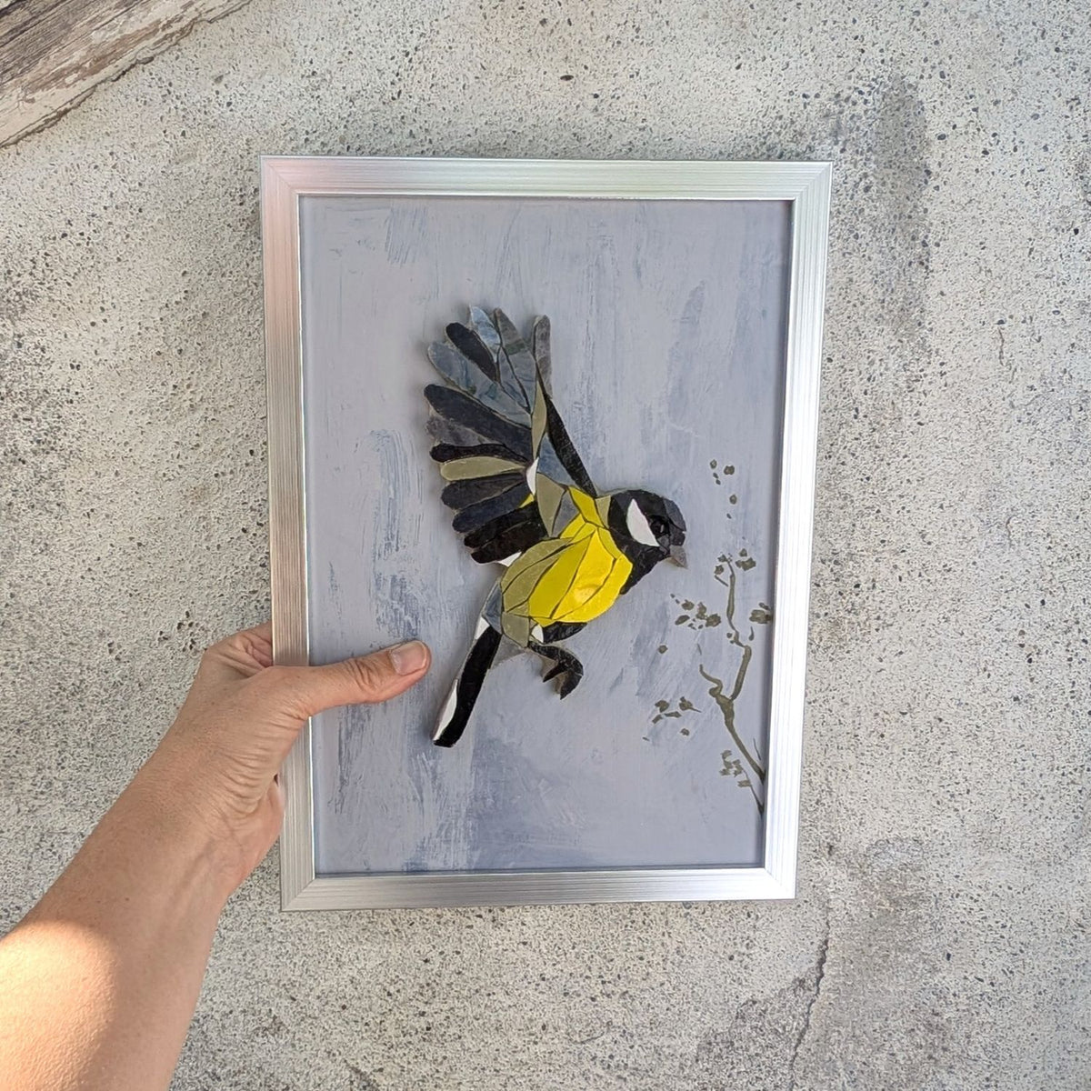 Zoziau, Mésange charbonnière en vol.