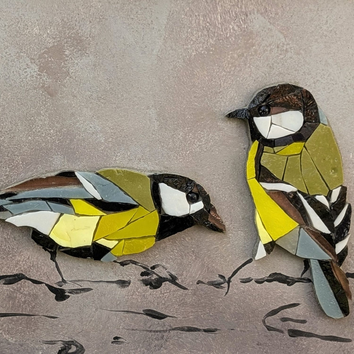 Zoziau, Duo de Mésanges Charbonnières