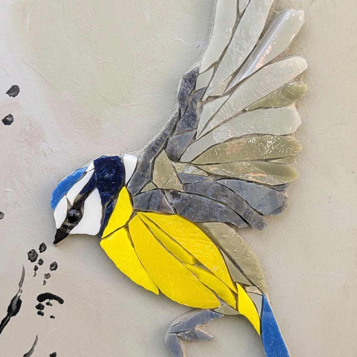 Zoziau, Mésange bleue en vol.