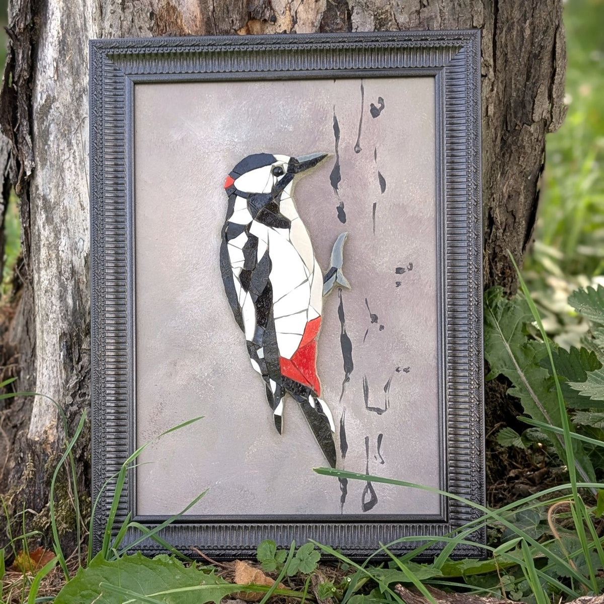 Zoziau, Pic épeiche