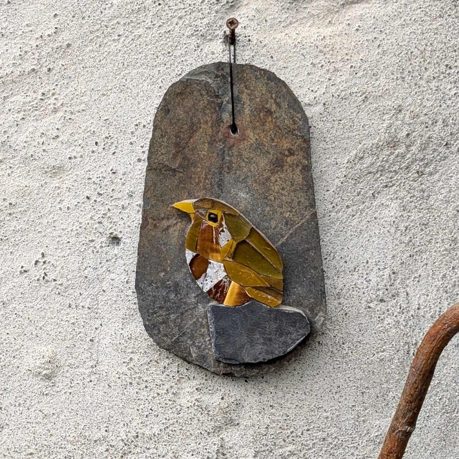 Nid d'ardoise, Troglodyte Mignon