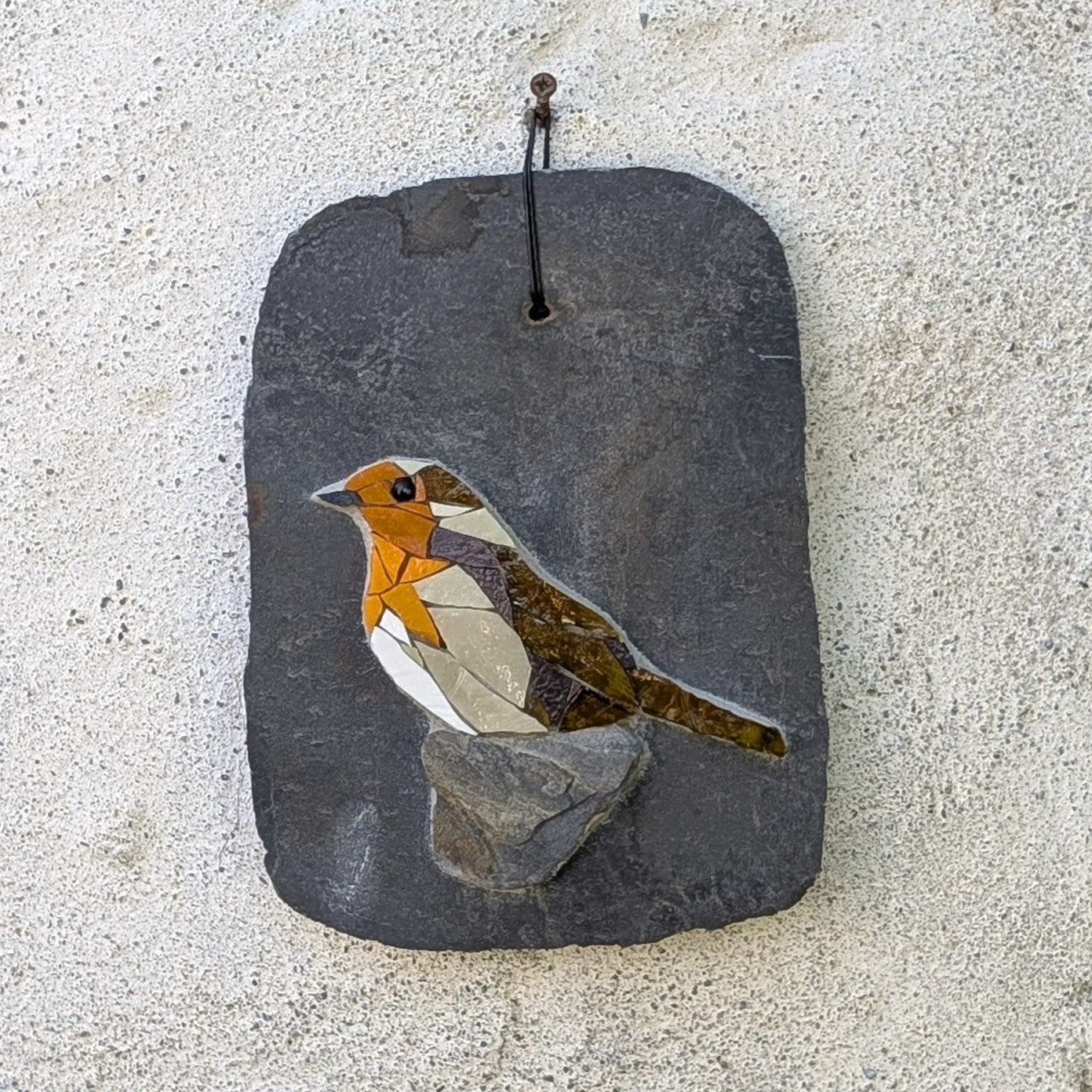 Volière d'ardoise, Rouge Gorge n° 1