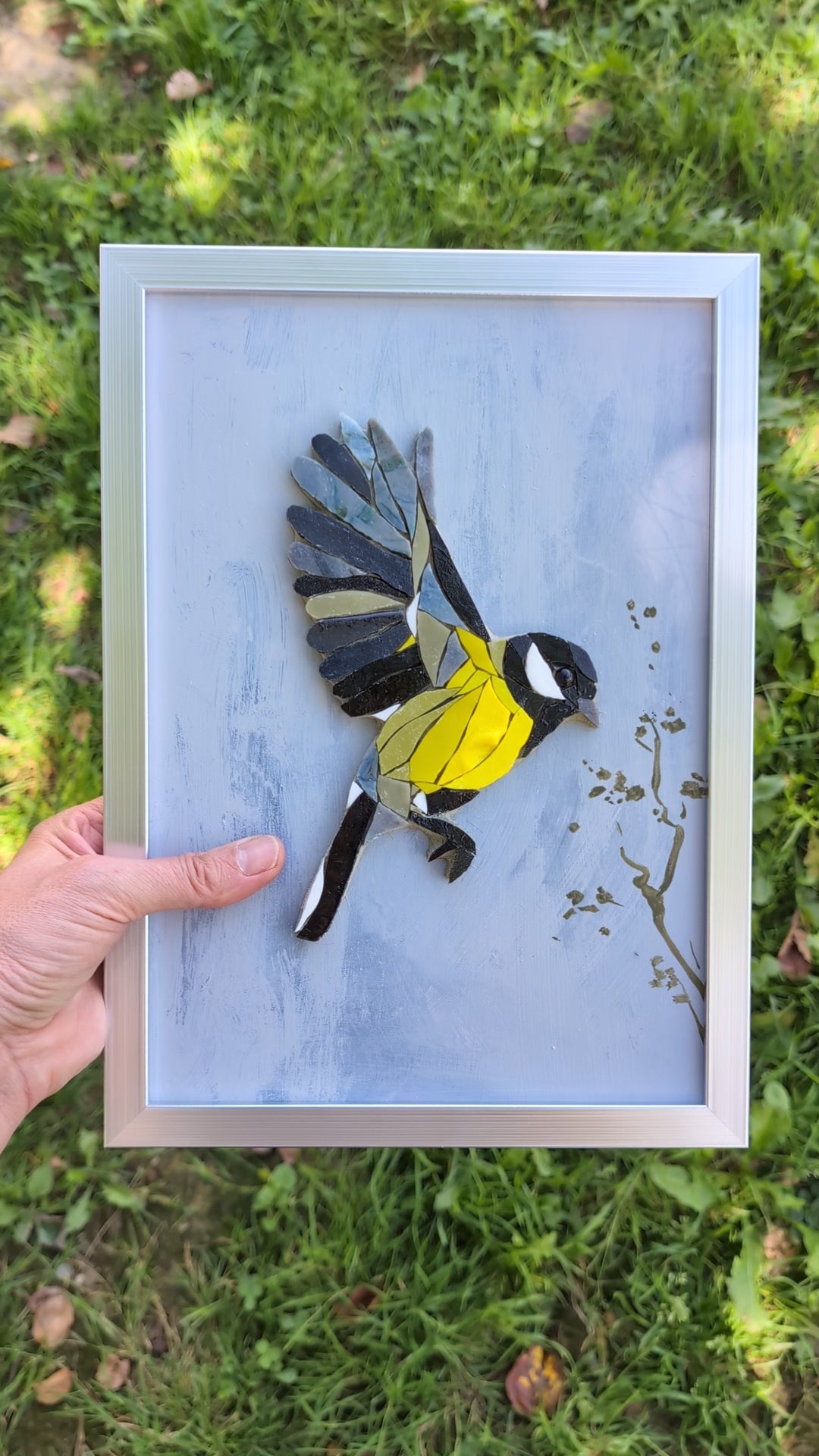 Zoziau, Mésange charbonnière en vol.