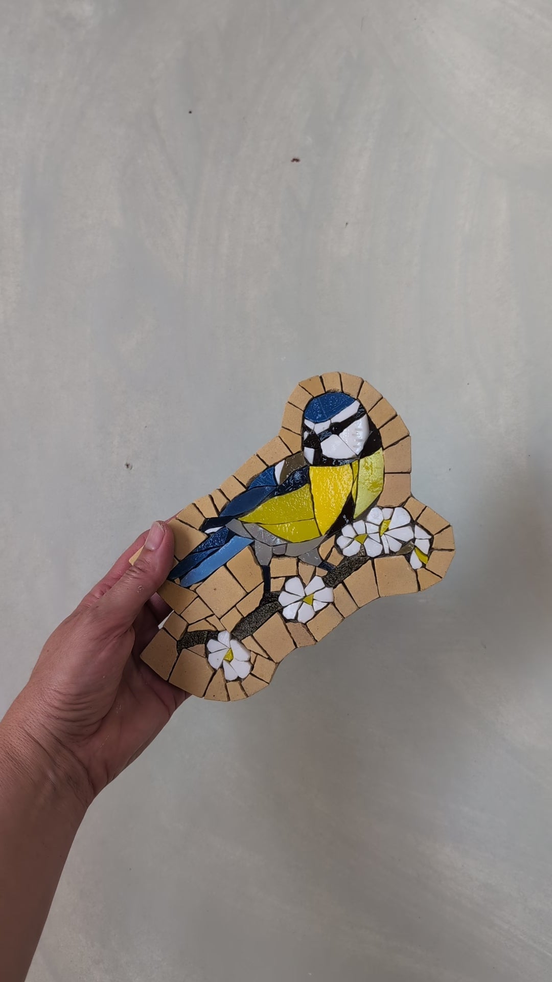 Chants du jardin, Mésange n° 1