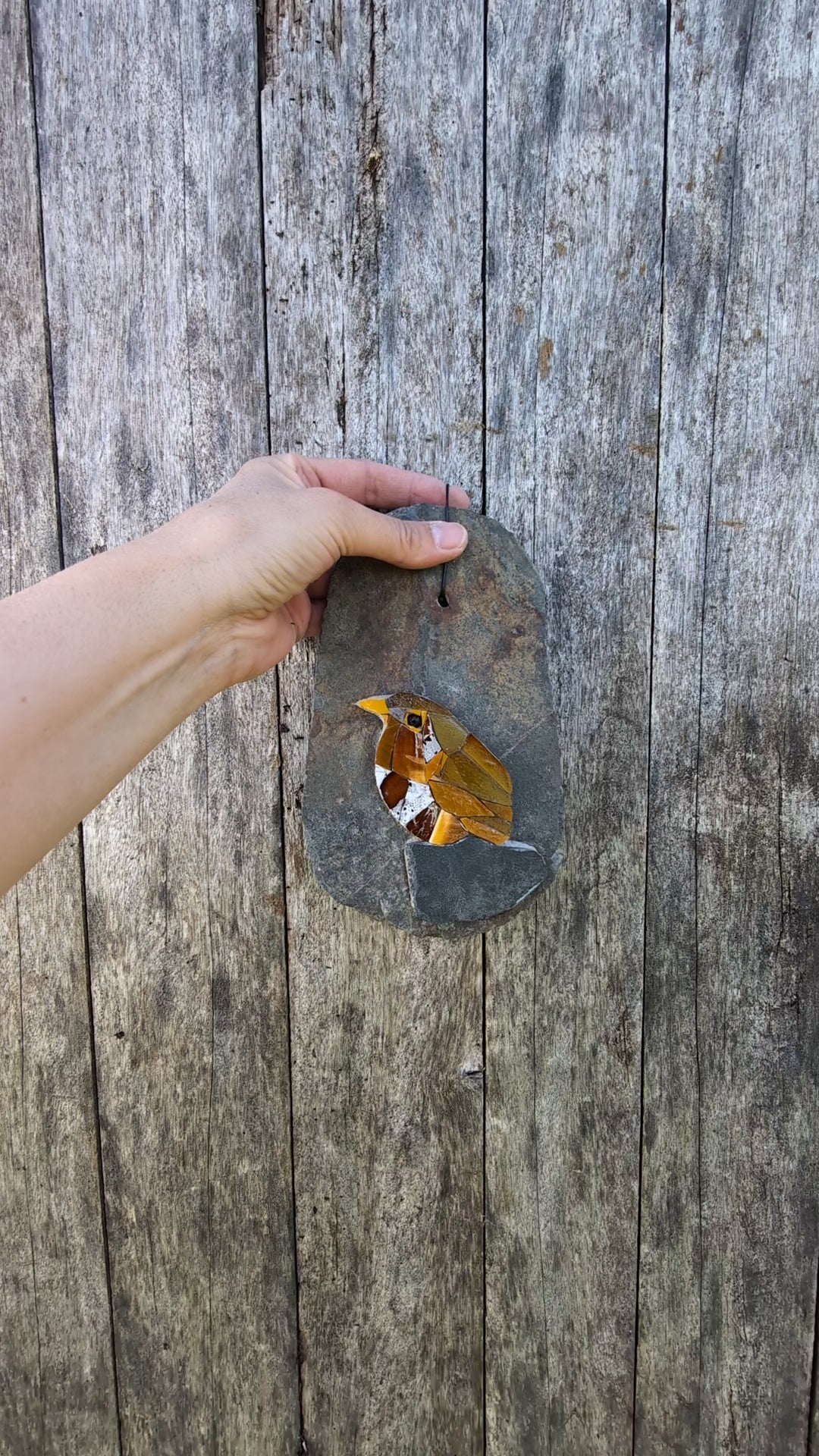 Nid d'ardoise, Troglodyte Mignon