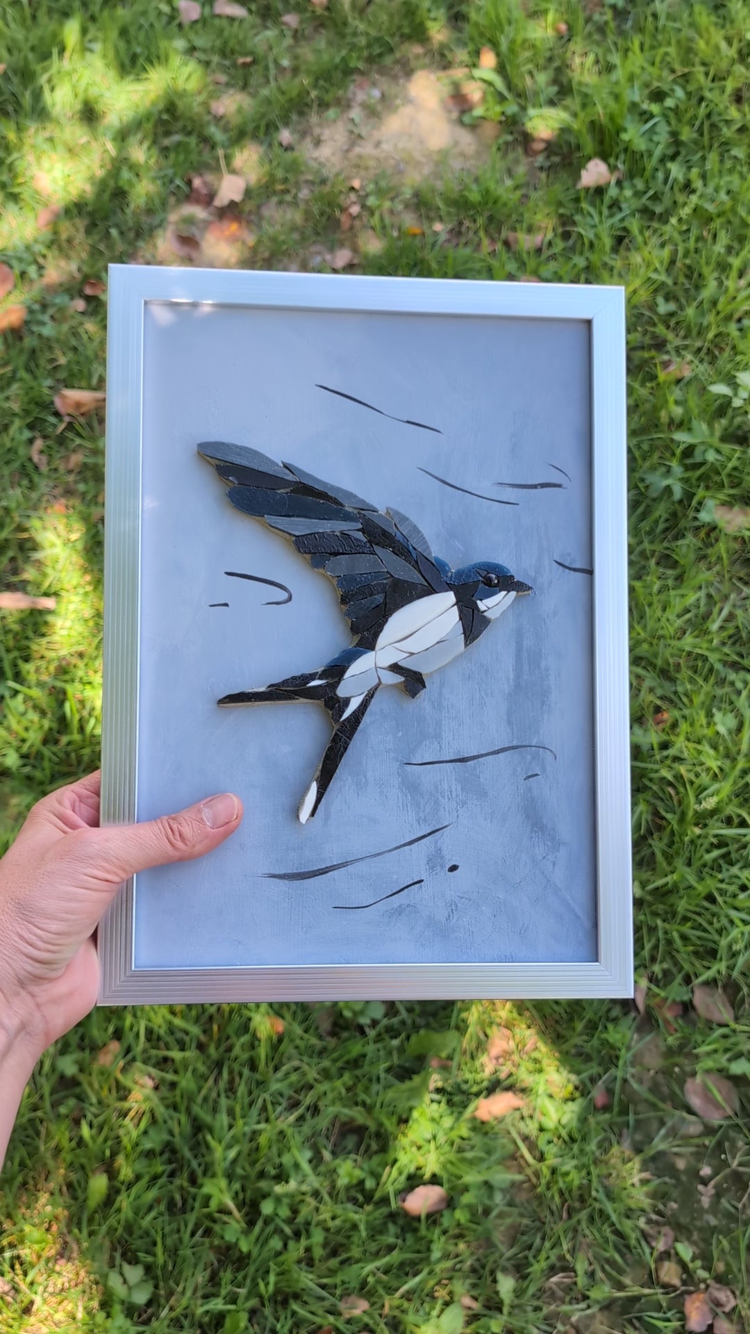 Zoziau, Hirondelle en vol.